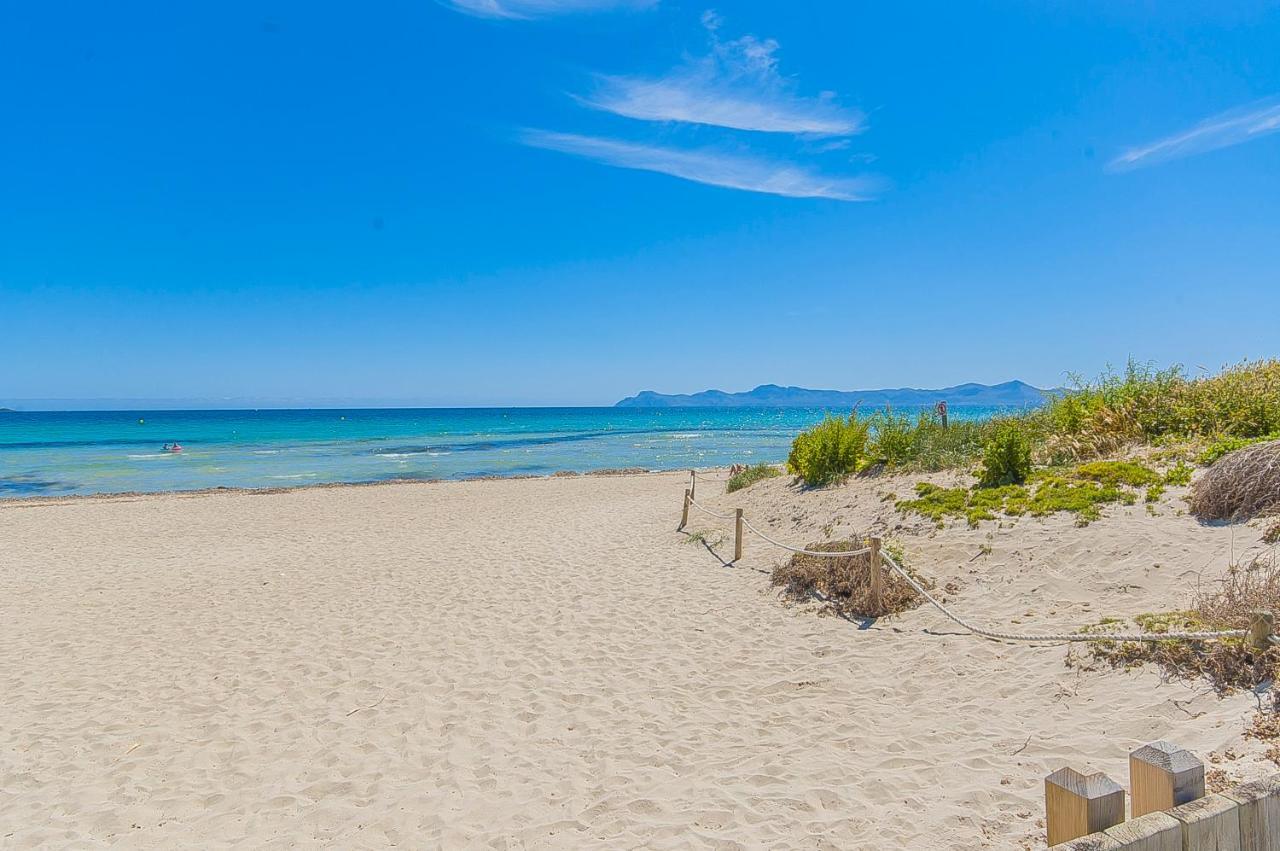 Yupihome ànecs * Alcúdia